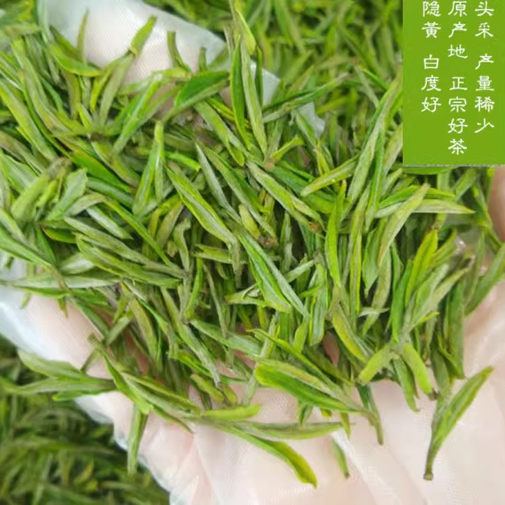 明前头采白茶2024年新茶叶珍稀特级绿茶芽茶叶散装精品300克安吉 - 图3