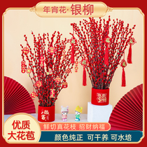 Cash and silver willow flowers fresh branches Lunar New Year Flowers Flowers red silver wicker dried flowers bouquet Interior Living room Decorative Plants