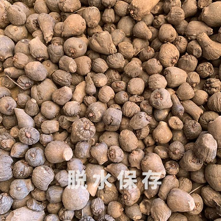 魔芋种子10颗四季播种阳台庭院种植蔬菜种子,淘宝优惠券,粉丝福利购,淘宝优惠卷