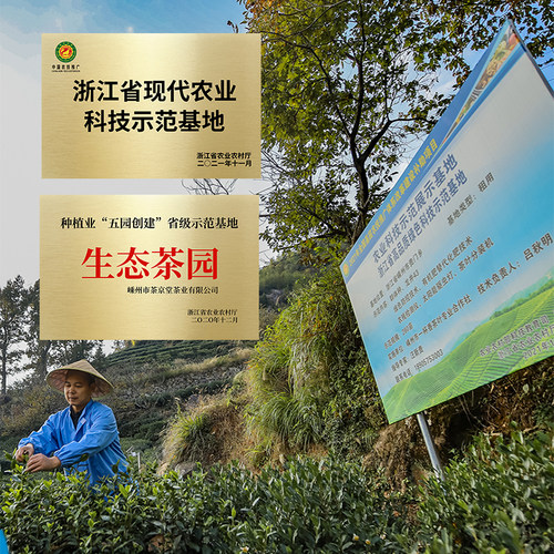 隔尘香2026年新茶龙井茶绿茶正宗雨前茶老茶树浓豆香耐泡茶叶龙井 - 图3