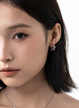 VOYAGE轻奢紫色锆石耳环女