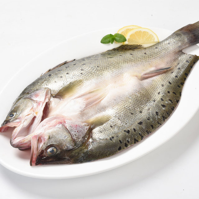 Fresh open back sea bass, live fish freshly killed