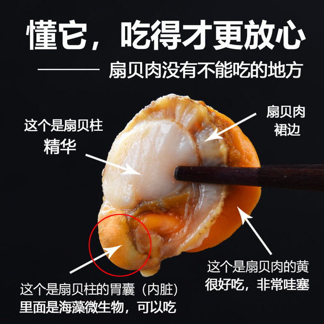 Fresh scallop meat with yellowish paste