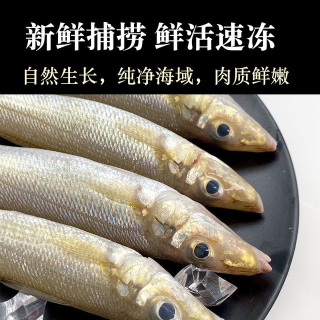 Catch sardines in the deep sea without small spines