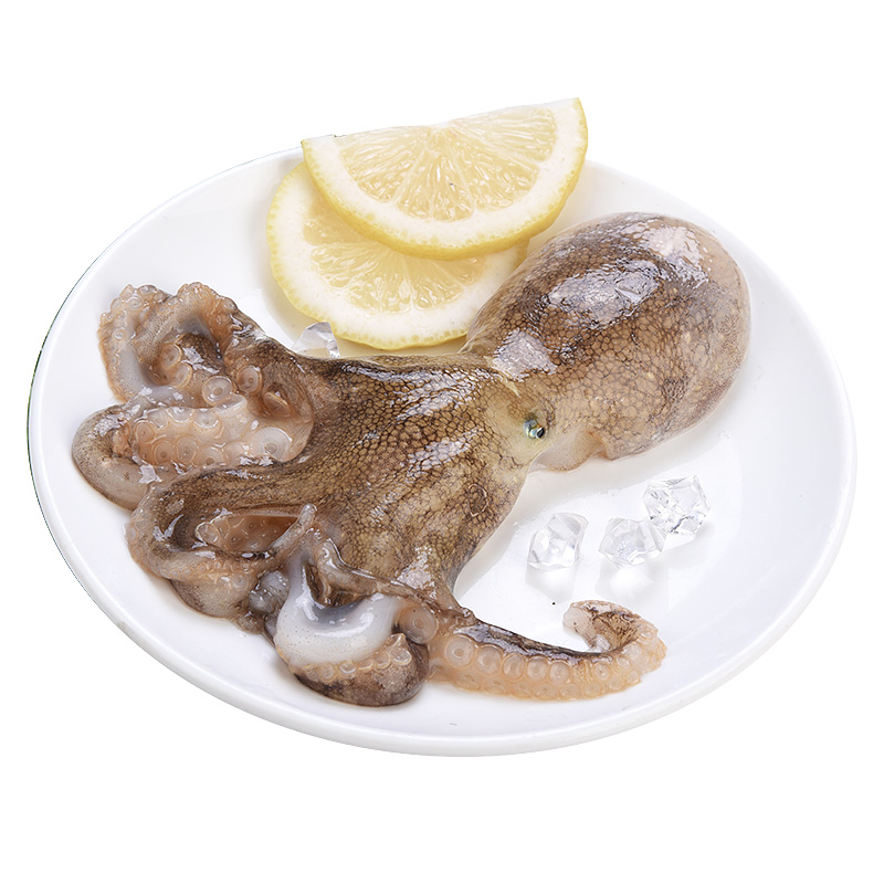 嵩海生鲜冷冻章鱼