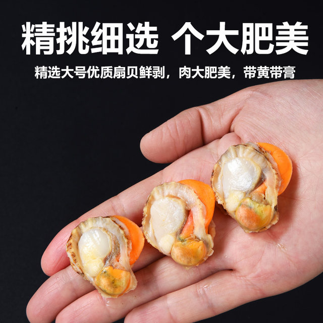 Fresh scallop meat with yellowish paste