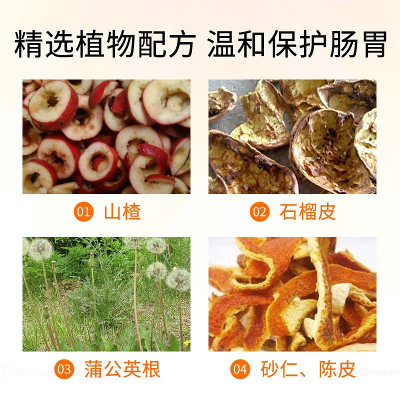  mydab海外国际肠胃用药