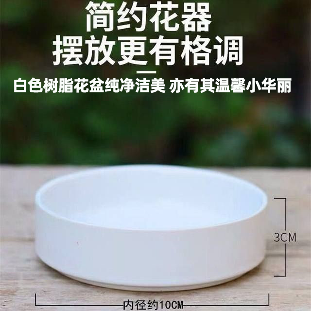 草头娃娃专用花盆塑料树脂材质防晒耐用巴西木草木专用营养液-图2