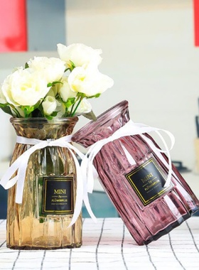 创意欧式玻璃花瓶透明彩色插花客