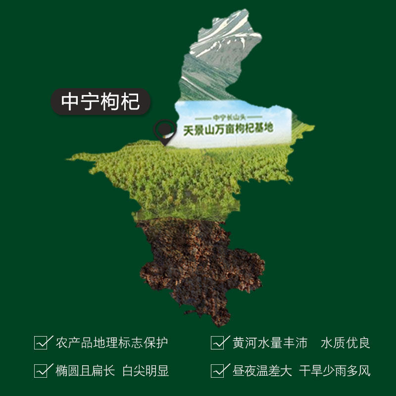 拍1发2免洗中宁正宗构杞红枸杞子茶 天景山枸杞