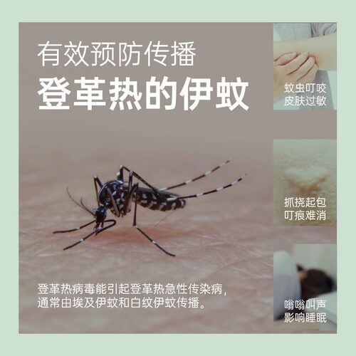 榄菊蚊香艾草香盘香家用室内驱蚊盒蚊文香盘正品包邮老式40圈整箱 - 图1