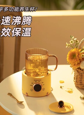 大宇养生家用多功能办公室养生壶