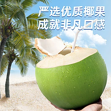 首单【过年喜庆礼盒装】椰子水1.25L*2瓶[5元优惠券]-寻折猪