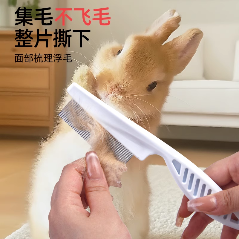 兔子梳毛器刷毛梳子去浮毛小侏儒兔子杂毛宠物专用品除毛刷毛神器,淘宝优惠券,粉丝福利购,淘宝优惠卷