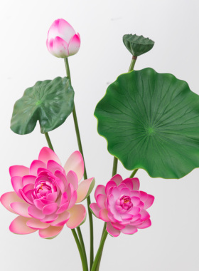 装饰假绿植仿真荷叶水池带杆把束