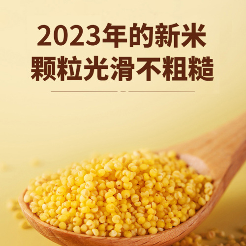 2023年新米黄小米山西新小黄米粥5斤真空装五谷杂粮香糯食用