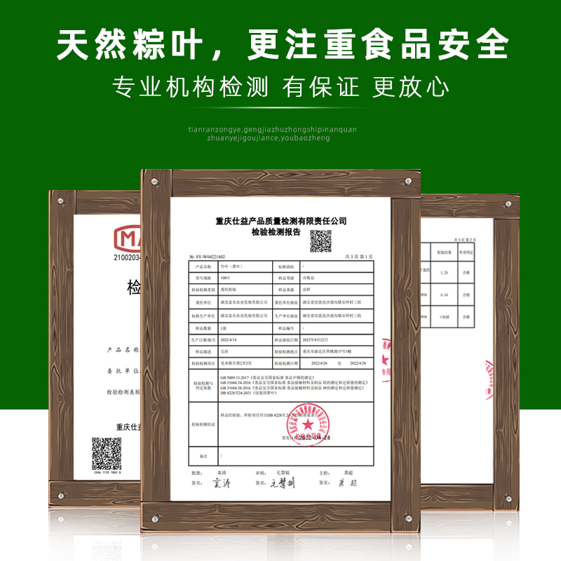 粽叶100片粽子叶免邮新鲜大号叶包粽子真空箬叶新鲜现摘非芦苇叶