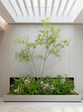 仿真绿植造景大树盆栽景观