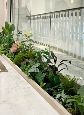 仿生绿植装饰玄关过道墙边花草