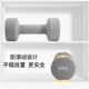 Color Matte Dumbbell Solid Cast Iron Macaron Color