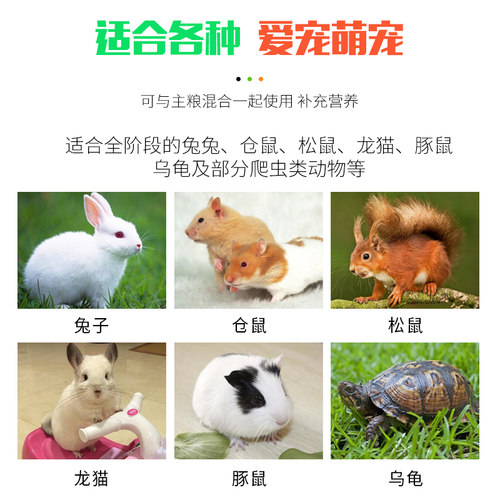 胡萝卜干兔子磨牙零食1斤装兔兔吃的零食营养仓鼠荷兰猪脱水蔬菜 - 图2