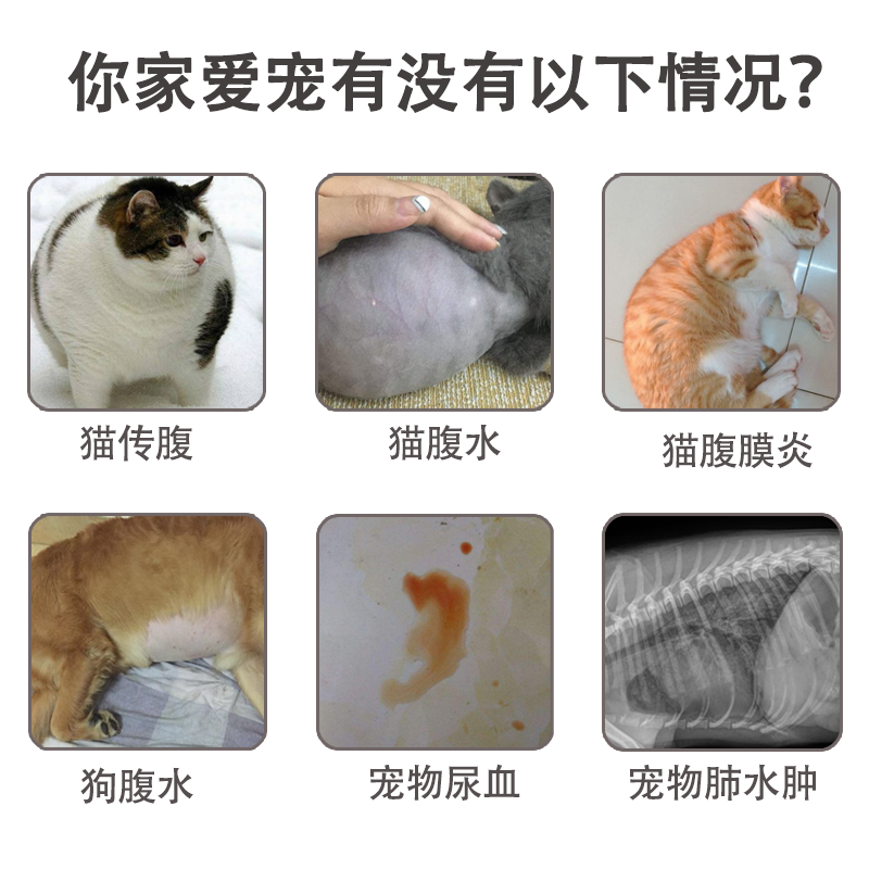 利尿通猫咪泌尿道系统尿路感染消炎药猫狗用膀胱炎尿血尿频尿不出-图0