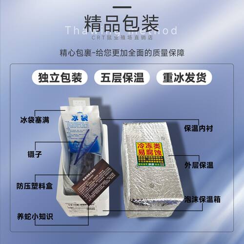 红皮乳鼠冰冷冻小老鼠蛇饲料独立包装幼喂猫龟爬宠粉霜跳亚成新鲜 - 图0