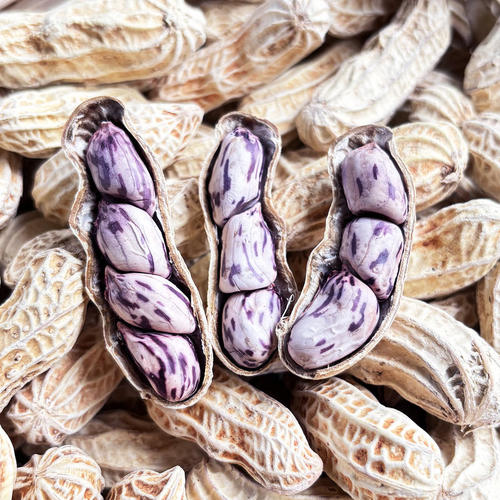 2025云南七彩花生水煮咸干晒干五彩花生龙岩湿烤金刚彩色花生 - 图1