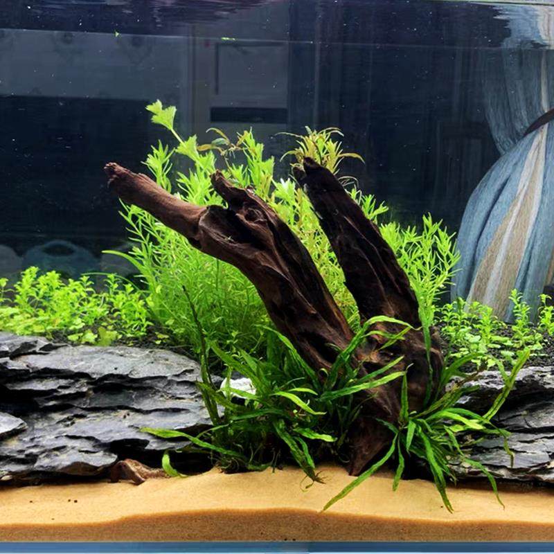 小沉木鱼缸造景天然紫柚木绿皮刺小山型沉木树桩爬宠躲避微景观木