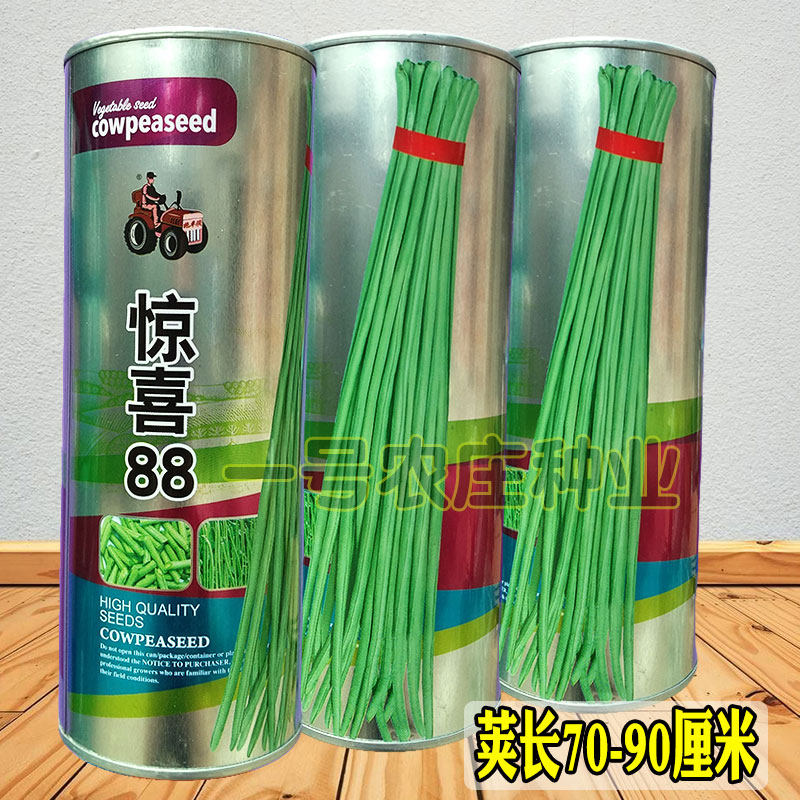 豆角种籽大全子种子四季豆种孑豇豆高产无架长蔬菜籽种菜蔬菜种子,淘宝优惠券,粉丝福利购,淘宝优惠卷