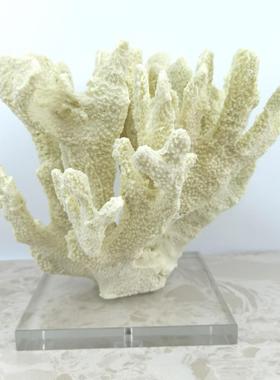 创意北欧风格仿真珊瑚树脂摆件简约样板房K客厅电视柜茶几家居摆