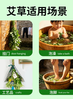 端午干艾草整颗家用泡脚