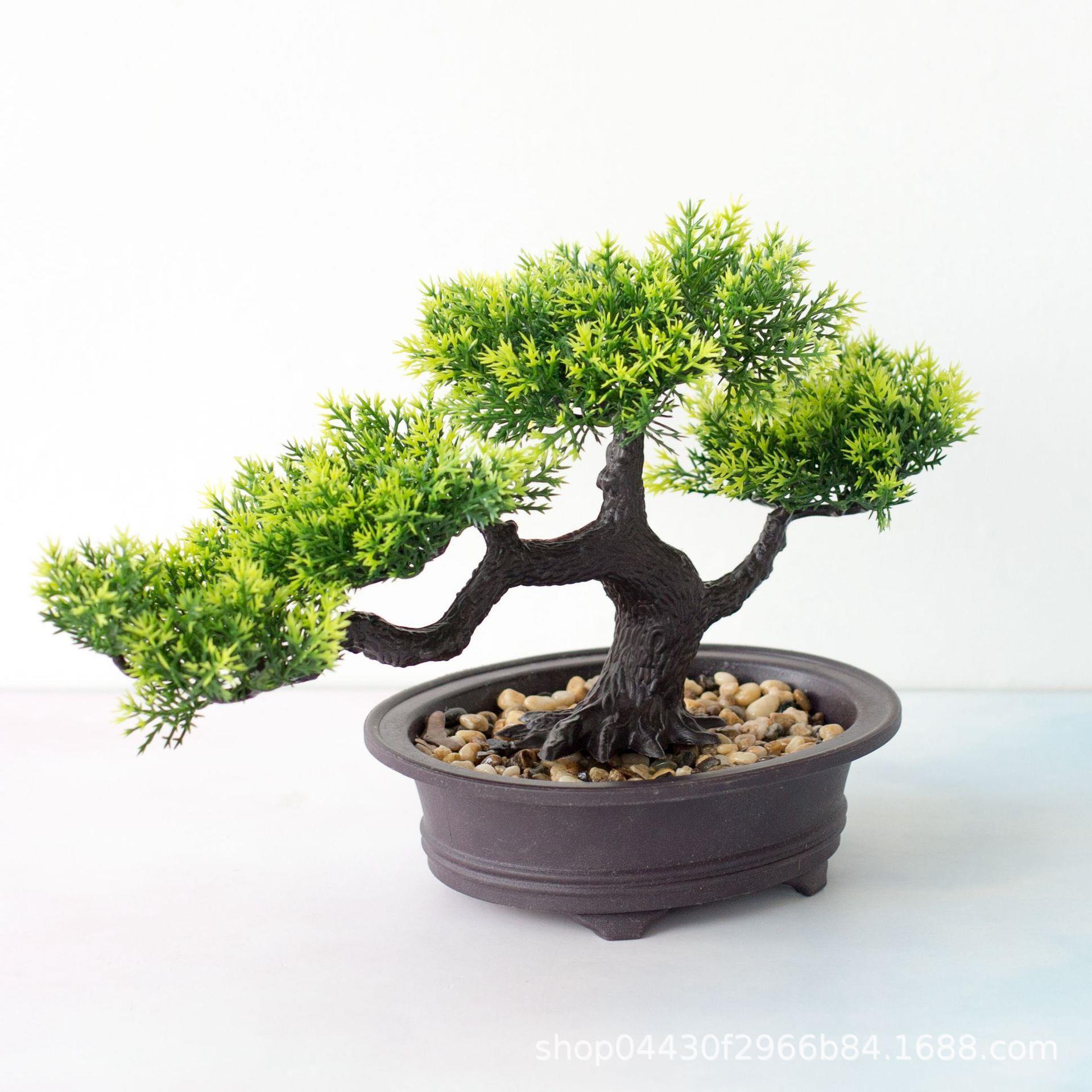 Welcome pine bonsai decoration simulation plant bonsai home - 图2