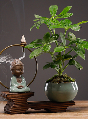 小和尚茶宠倒流香中式禅意