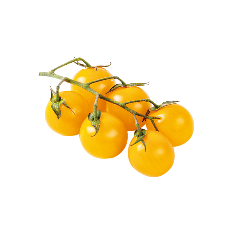 黄妃小番茄种子西红柿种籽阳台四季盆栽蔬菜孑黄色水果圣女果籽种,淘宝优惠券,粉丝福利购,淘宝优惠卷