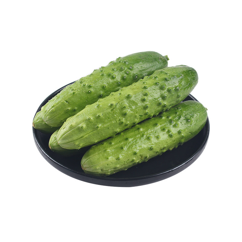 未来103 108旱黄瓜种籽孑 水果旱黄瓜油亮大刺瘤口感青瓜黄瓜种子,淘宝优惠券,粉丝福利购,淘宝优惠卷