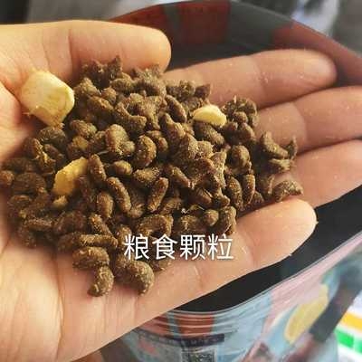 冻干鲜肉猫粮全期阶段幼猫成猫怀孕期猫食增肥发腮1.5kg5kg优惠券