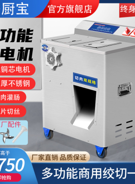 绞肉机商用多功能电动双电机