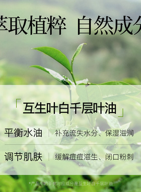 冰菊茶树净颜祛痘面膜
