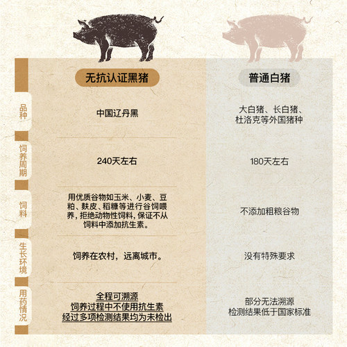 小黄象黑猪肉小笼包儿童早餐手工鲜肉老面包子速冻半成品 - 图3