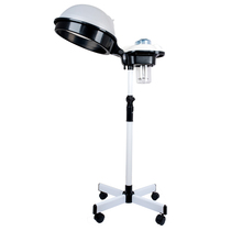 High-end oiled oil instrumental hair salon machine Home processing Shop steam J machine Beauty hair care Camp Hair Raising and Steamed Luxury