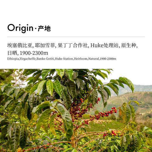 CoffeeBuff日晒果丁丁SOE耶加雪菲单一产地意式精品咖啡豆E09 - 图0