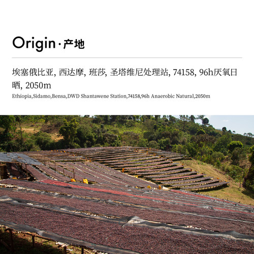 CoffeeBuff埃塞俄比亚西达摩圣塔维尼96h厌氧日晒手冲咖啡豆 150g - 图0