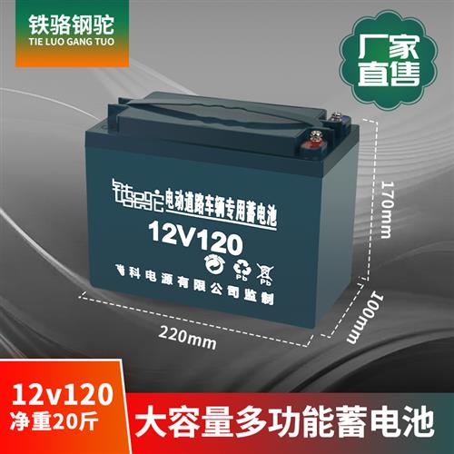 12V电瓶专用电瓶夜市干电瓶12v36ah80a120蓄电池照明太阳能抽水电 - 图1