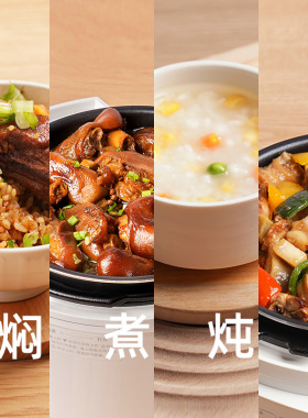 日本爱丽思电压力锅智能电饭煲
