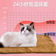 Pet mat