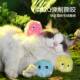 Cat Toys Self-Happiness and Boredom Relief Artifacts Collection of Cat Supplies