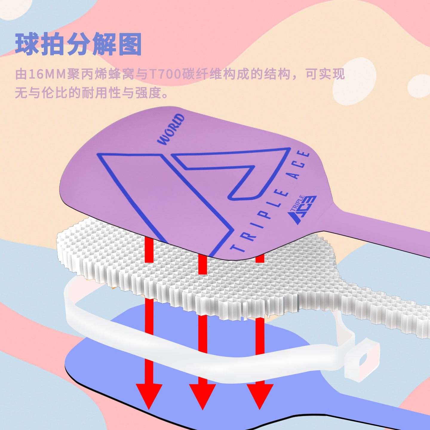 Triple Ace匹克球拍板碳纤维pickleball板拍儿童专业比赛训练套装,淘宝优惠券,粉丝福利购,淘宝优惠卷