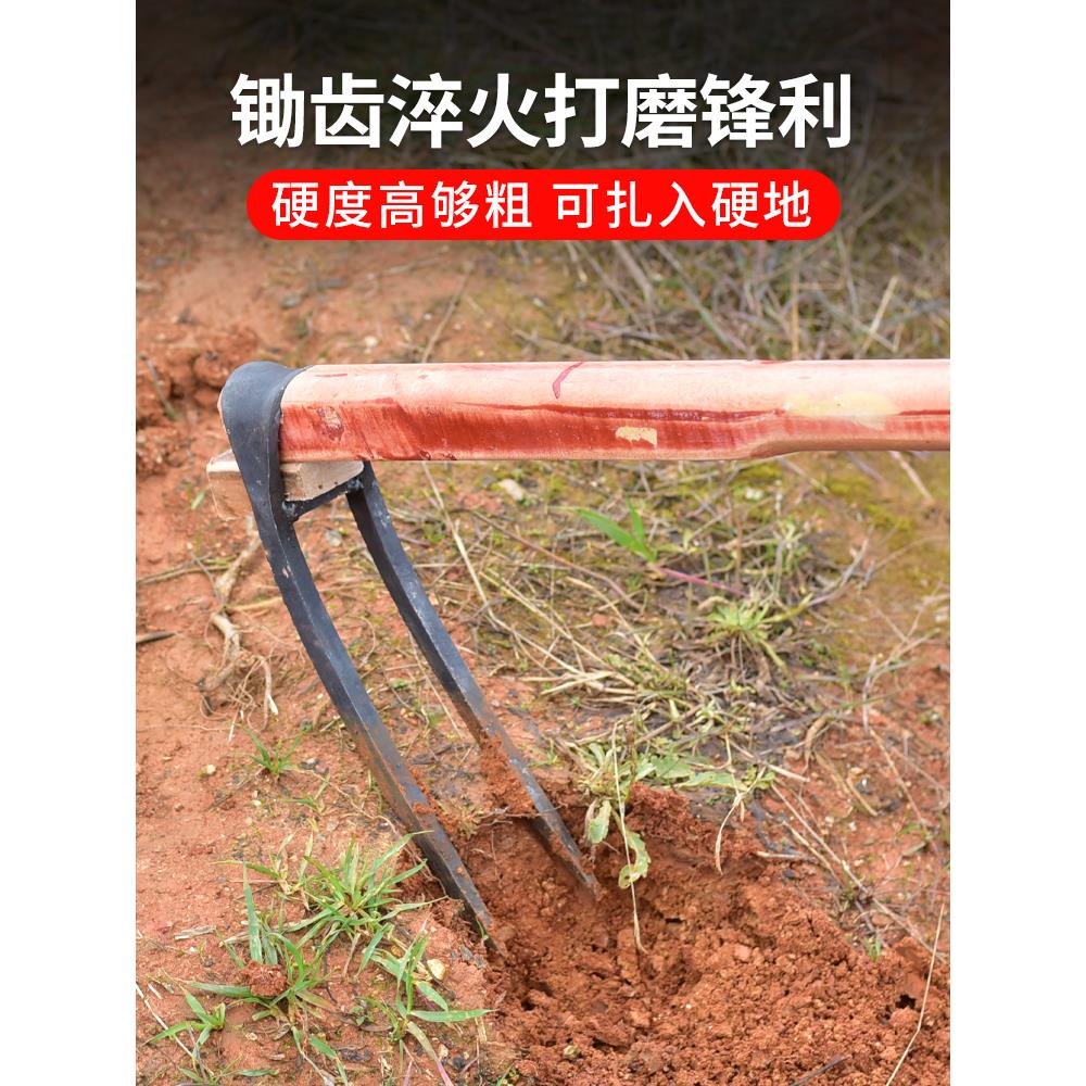 农用手工锻打锄头翻地松土工具种菜家用挖地多功能锰钢二齿锄耙子