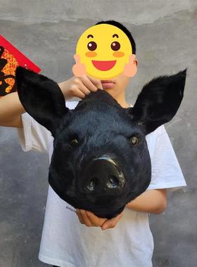 彷真牛头猪头摆件动物头模型墙面挂件饭店商场装饰品摆件影视道具